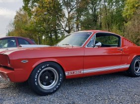 Ford Mustang Fastback Shelby GT350 Tribute 
